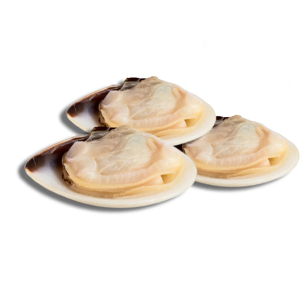 Frozen & Vac-Pac Cooked Meretrix Half Shell Clams 1kg x 10 Packs