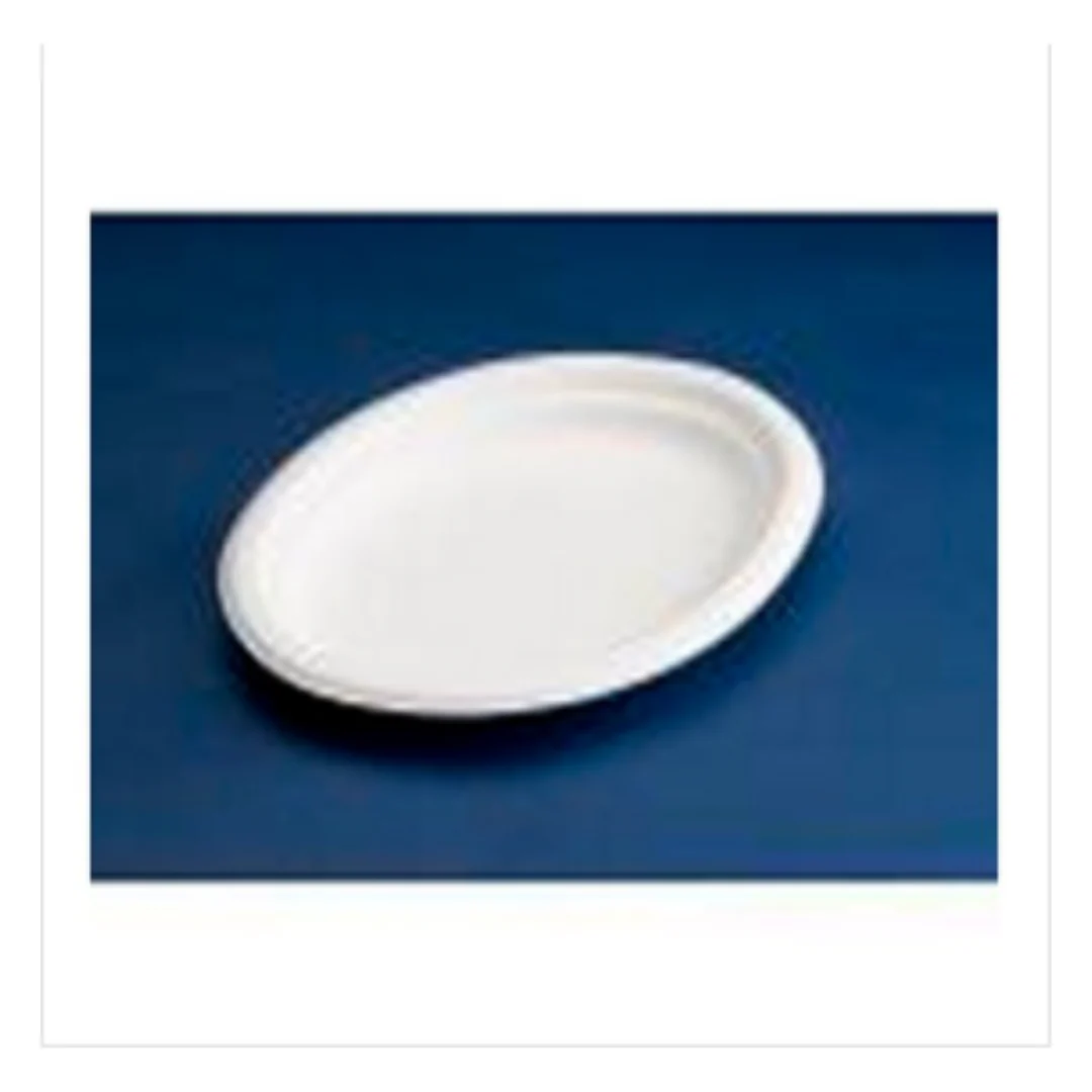 3380 NATURE PLATE OVAL LARGE 32x25CM BIODEG. WHITE 10x50(500) UKPLT=18 |Eco Friendly | Case of 1