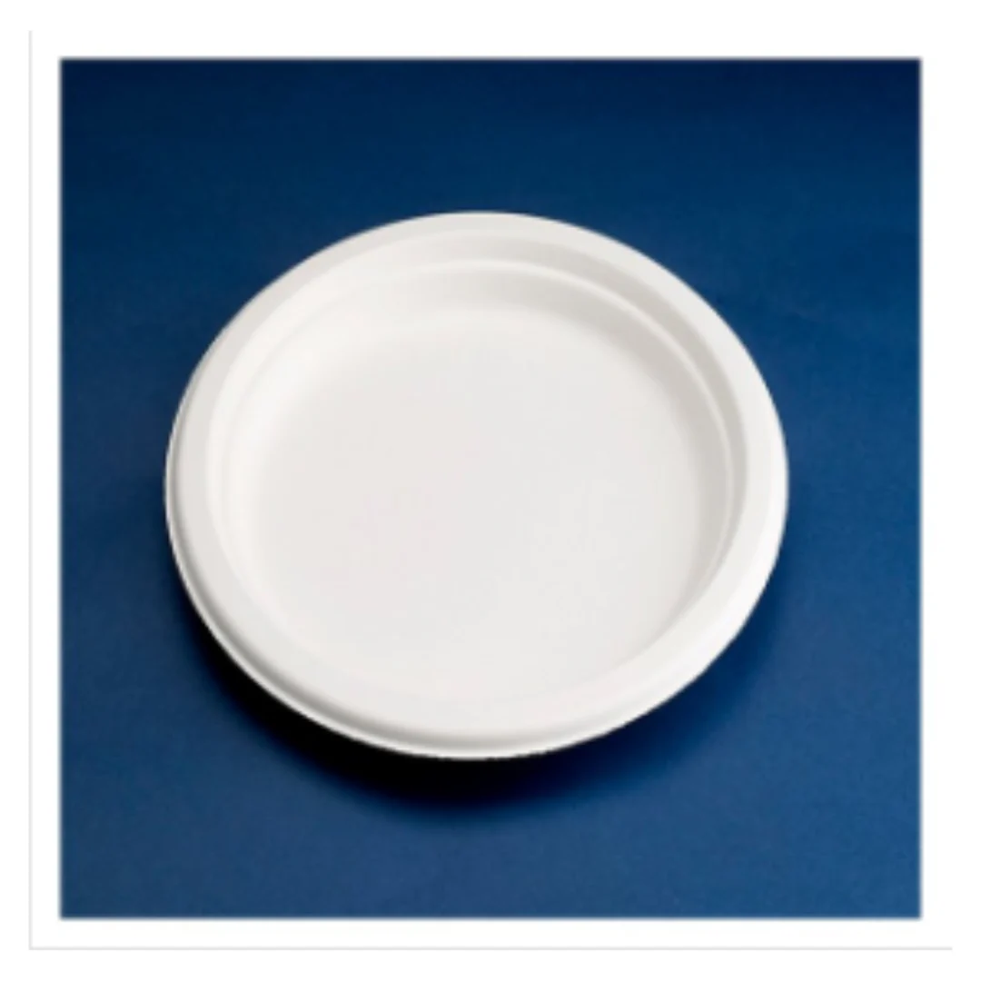 3371 NATURE PLATE ROUND 24.5CM BIODEG. WHITE EXTRA LARGE 9x50(450) UKPLT=40 Eco Friendly | Case of 9