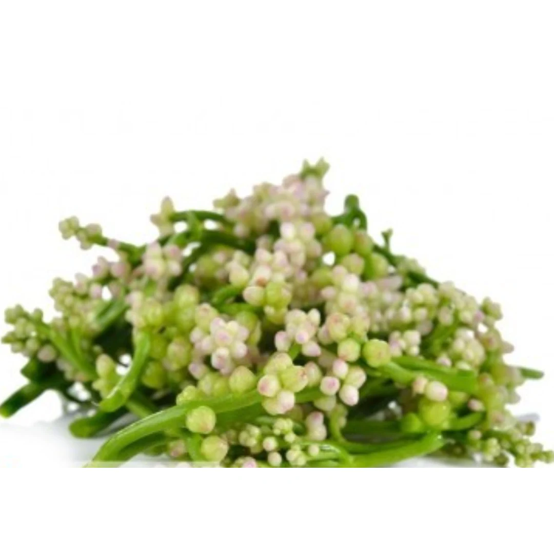 Fresh Thai Nightshade Flower 100gr