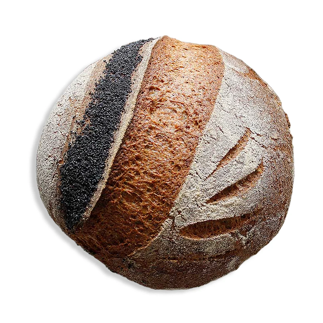 The Original Sourdough | 10 Units