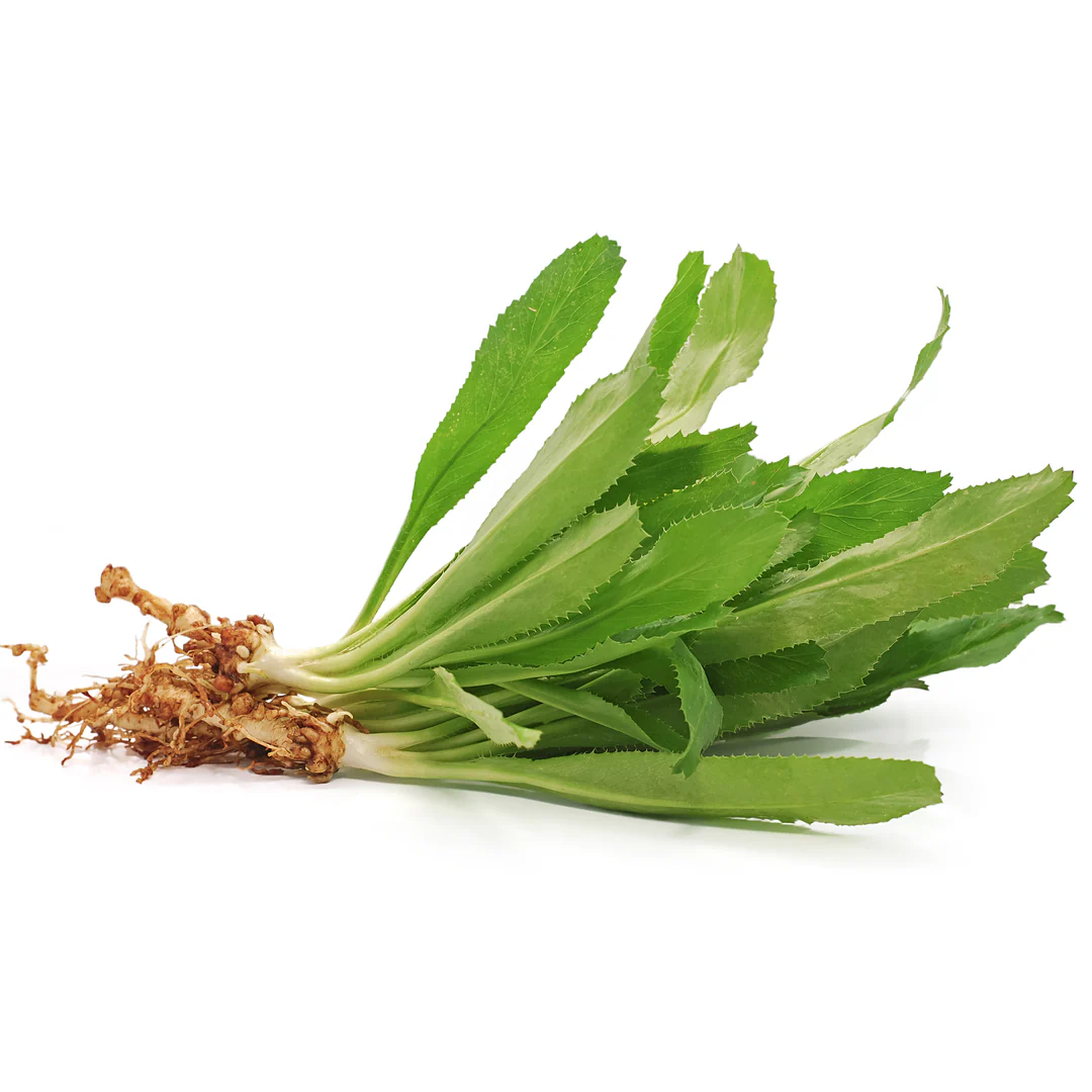 Pakchee Farang | Parsley Sawtooth 500gr