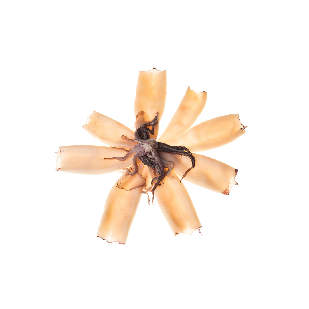Frozen Patagonian Cleaned Squid 10-13cm (1kg x 6 Packs)