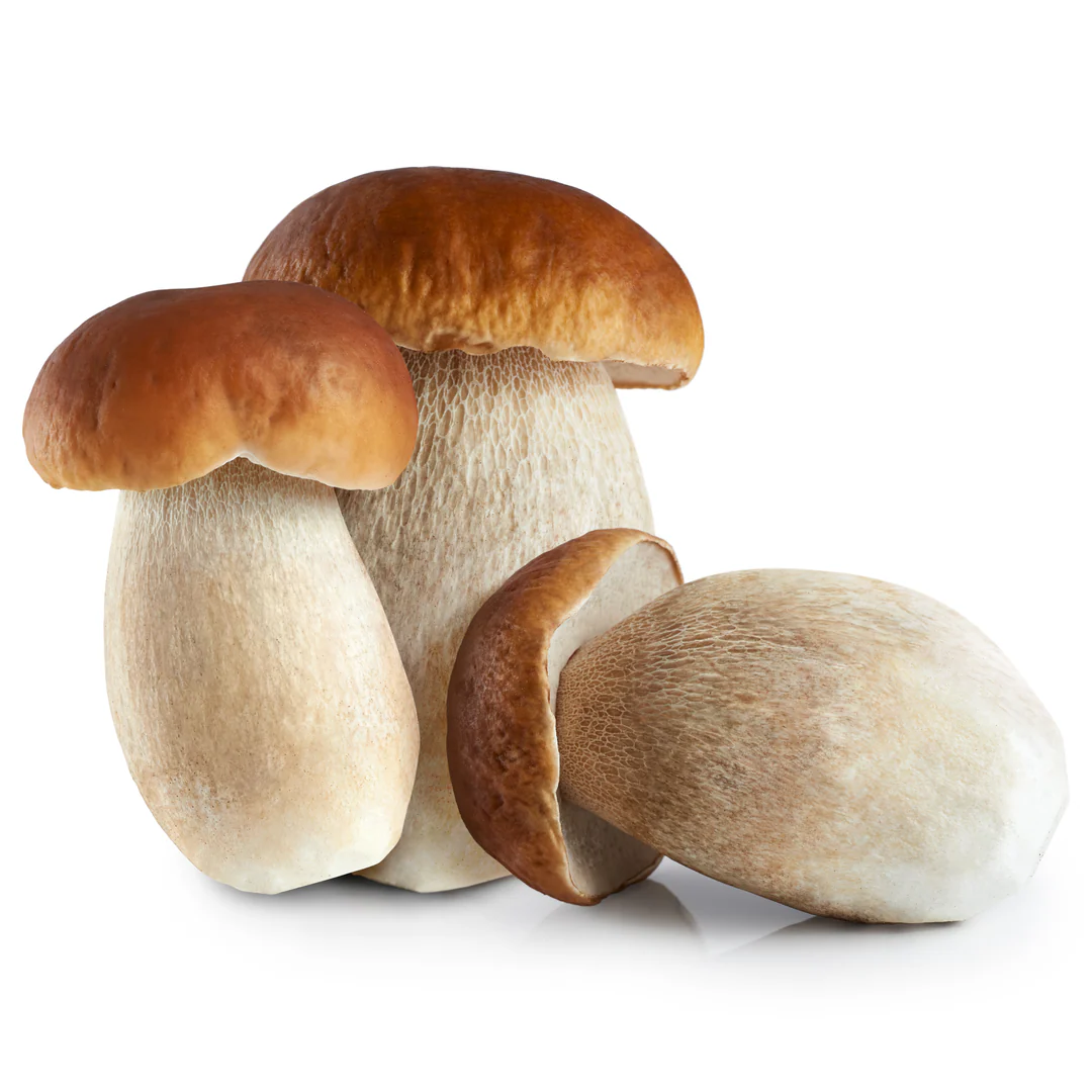 Porcini Mushrooms 250 gr