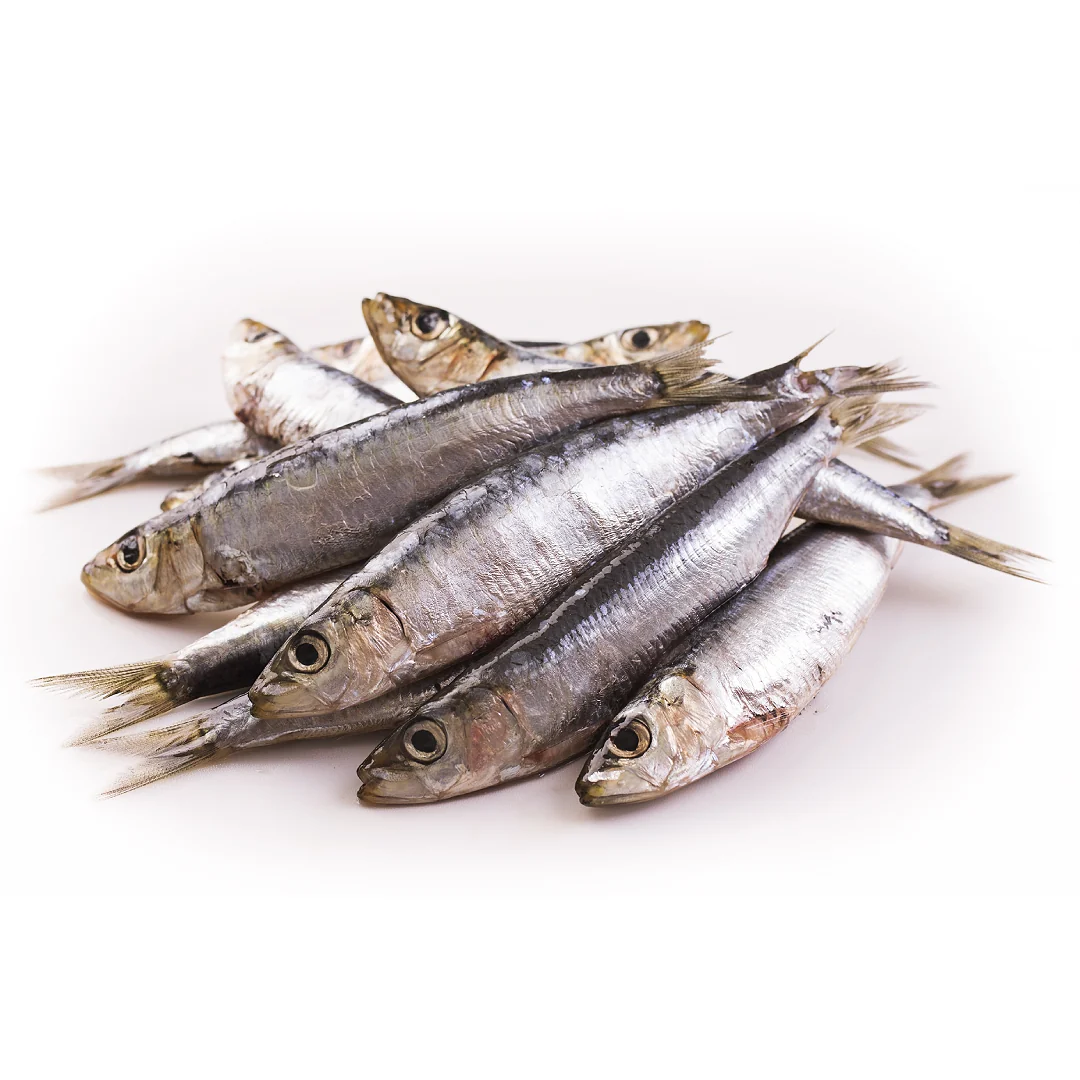 Frozen Portuguese Anchovies 1kg x 10 Packs