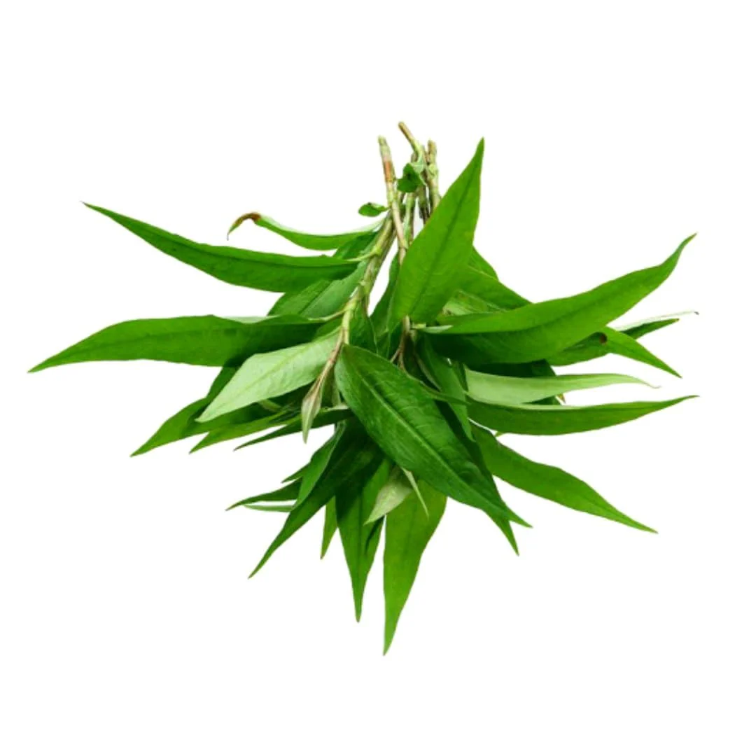 Fresh Thai Praew Leaf (Laksa) 100gr