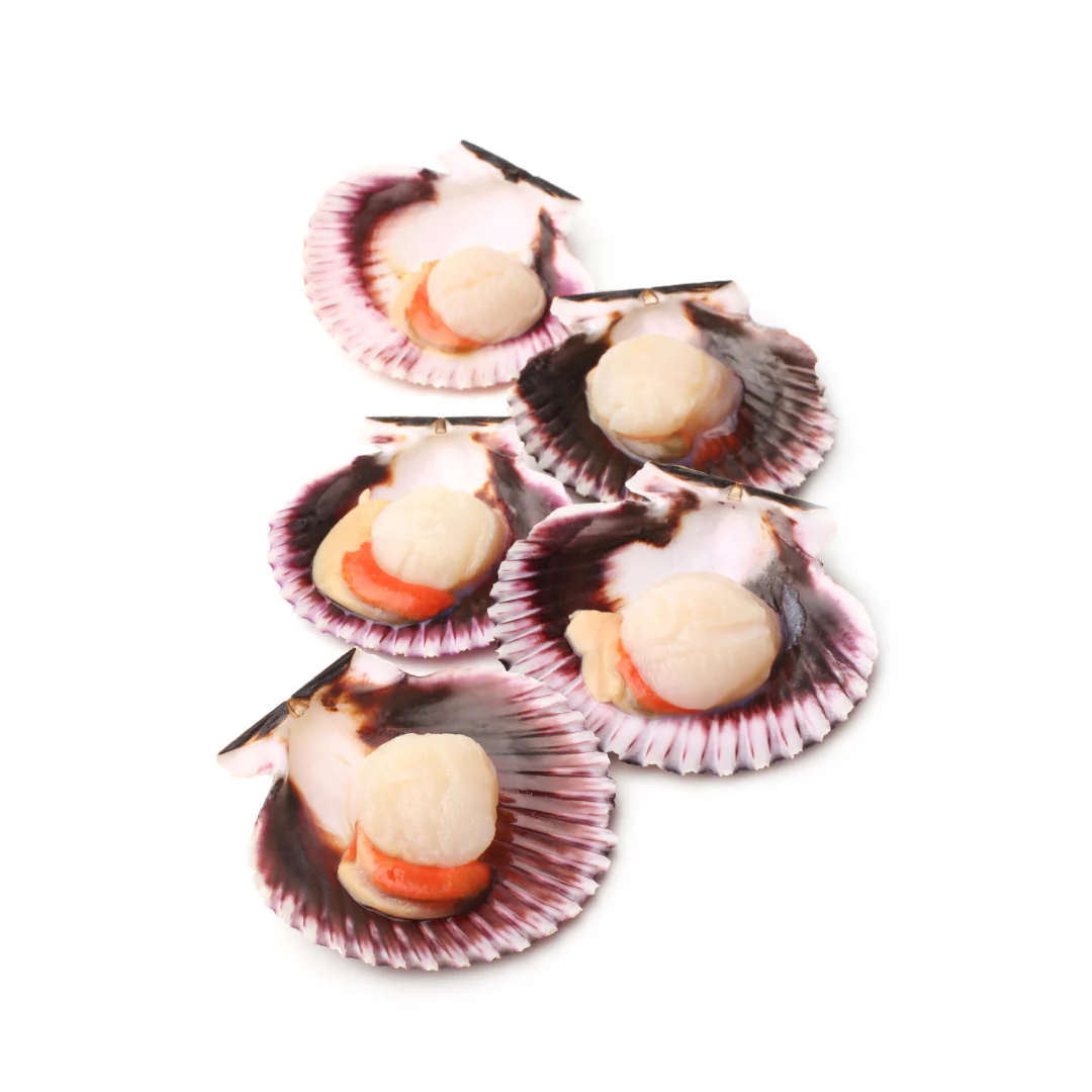Frozen Raw Roe-On Half Shell Queen Scallops 200g x 25 Packs