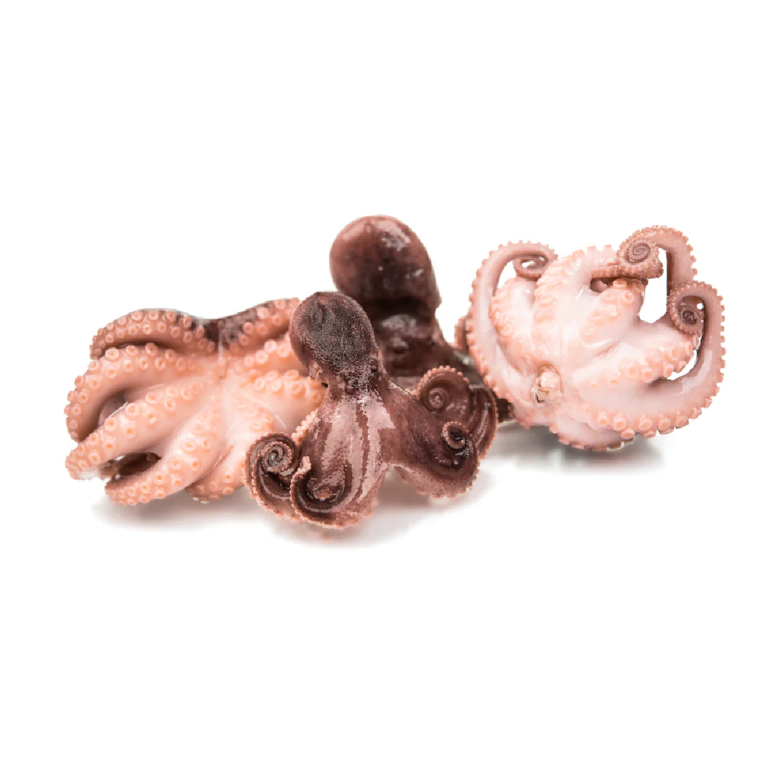 Frozen Raw Cleaned Baby Octopus 40-60 (1kg x 10 Packs)