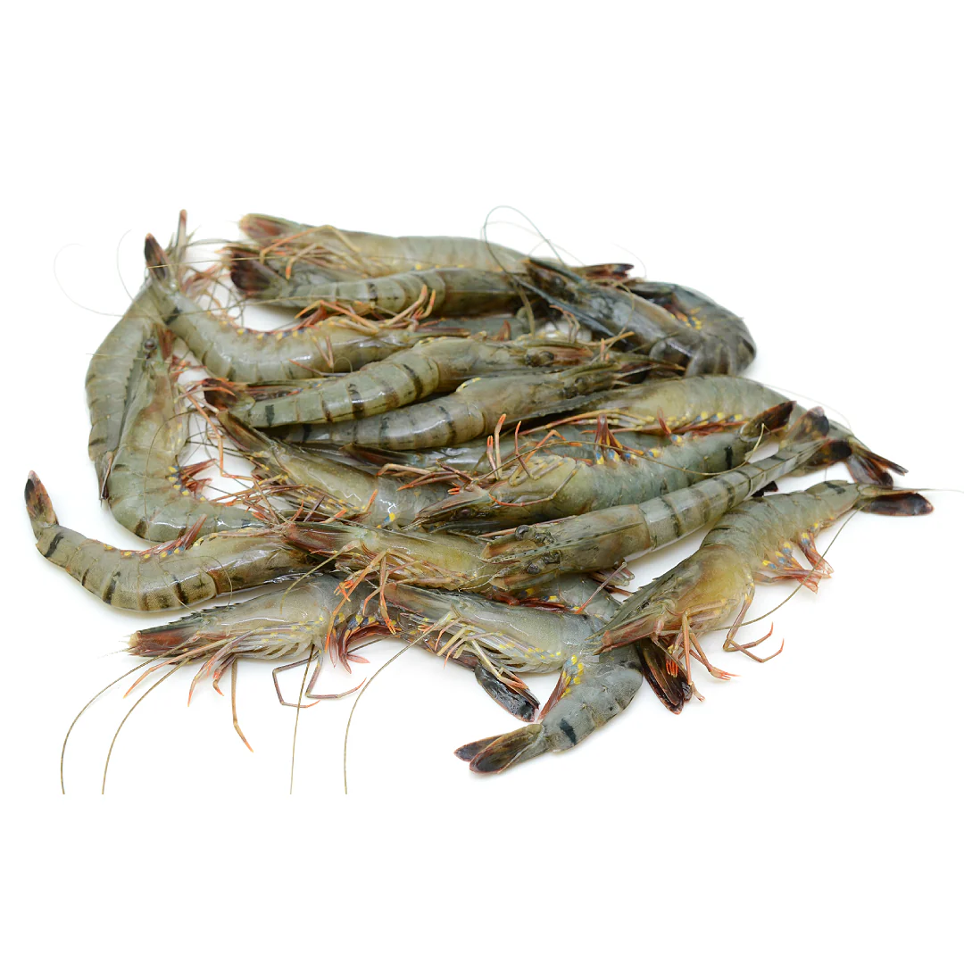 Semi-Frozen Raw Head-On Black Tiger 16-20 per kg (1kg x 6 Packs)