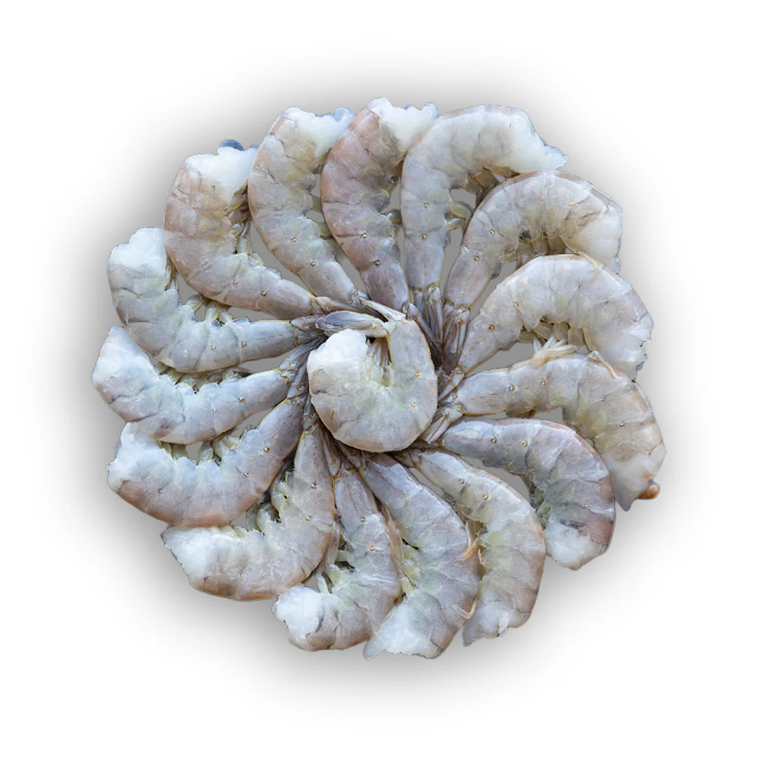 Frozen Raw Easy Peel Headless Shell On Fresh Water King Prawns 800g x 10 Packs (8-12 per pack)