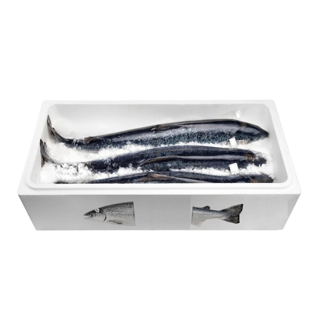 Salmon Box M Wholesale