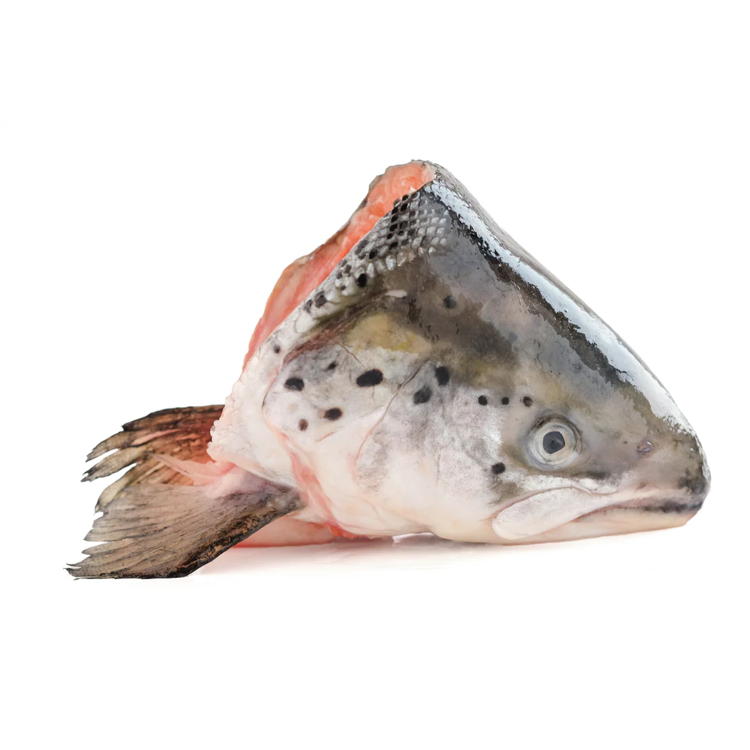 Salmon Head 1 Unit
