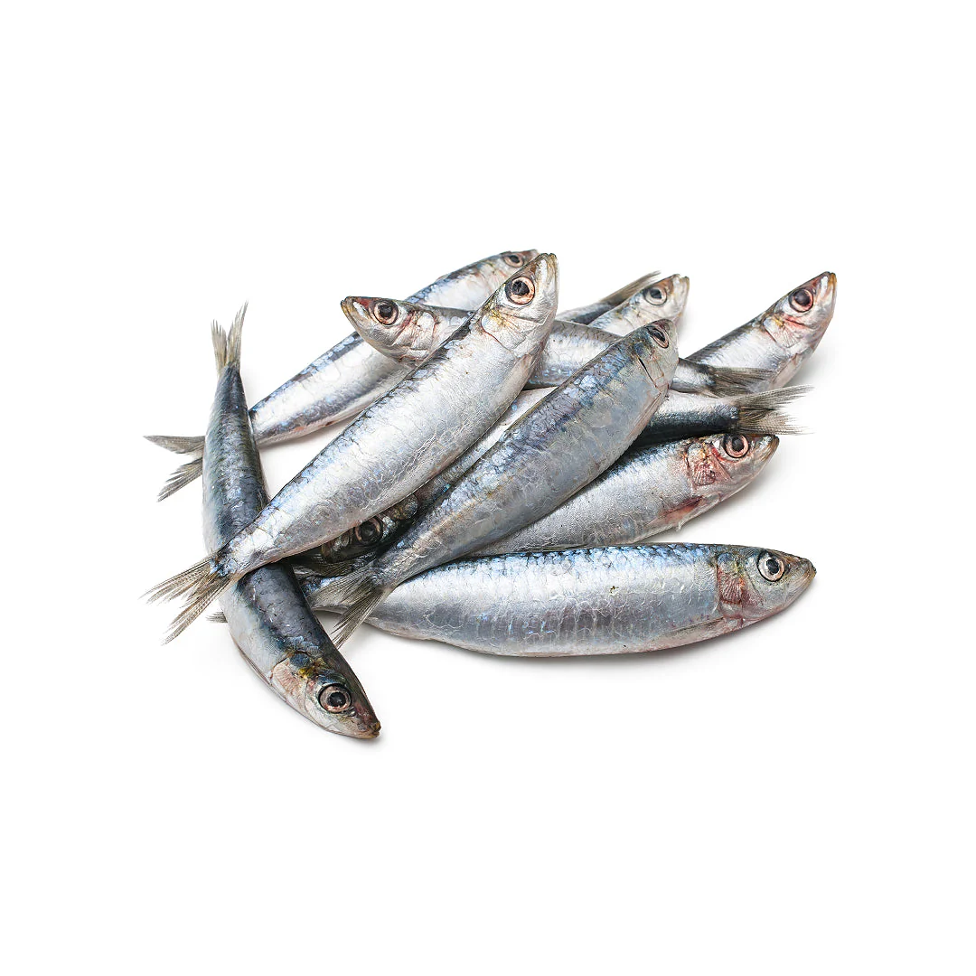 Frozen Sardines 1kg x 5 Packs