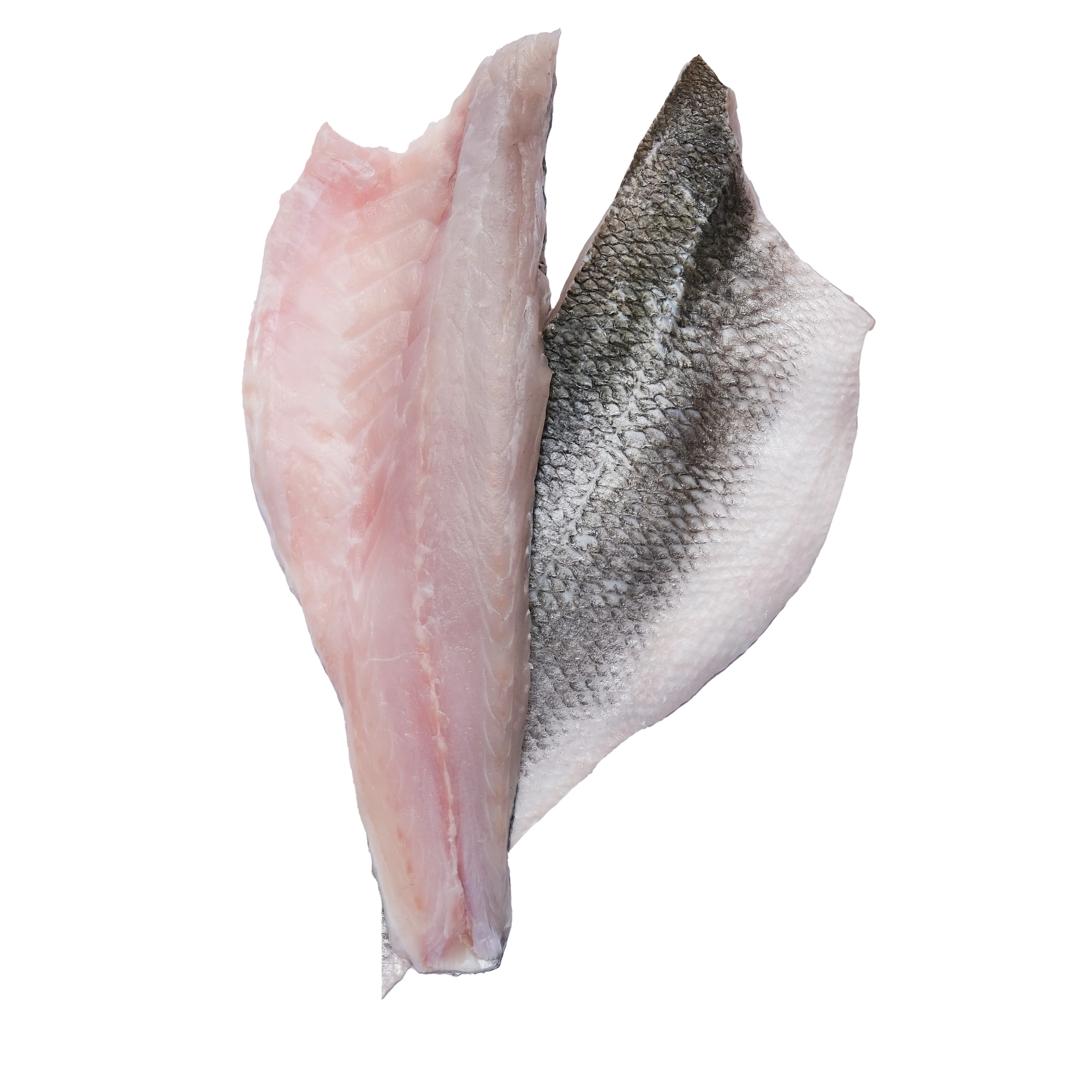 Frozen Sea Bass Skin-On Fillets 1kg x 5 Packs
