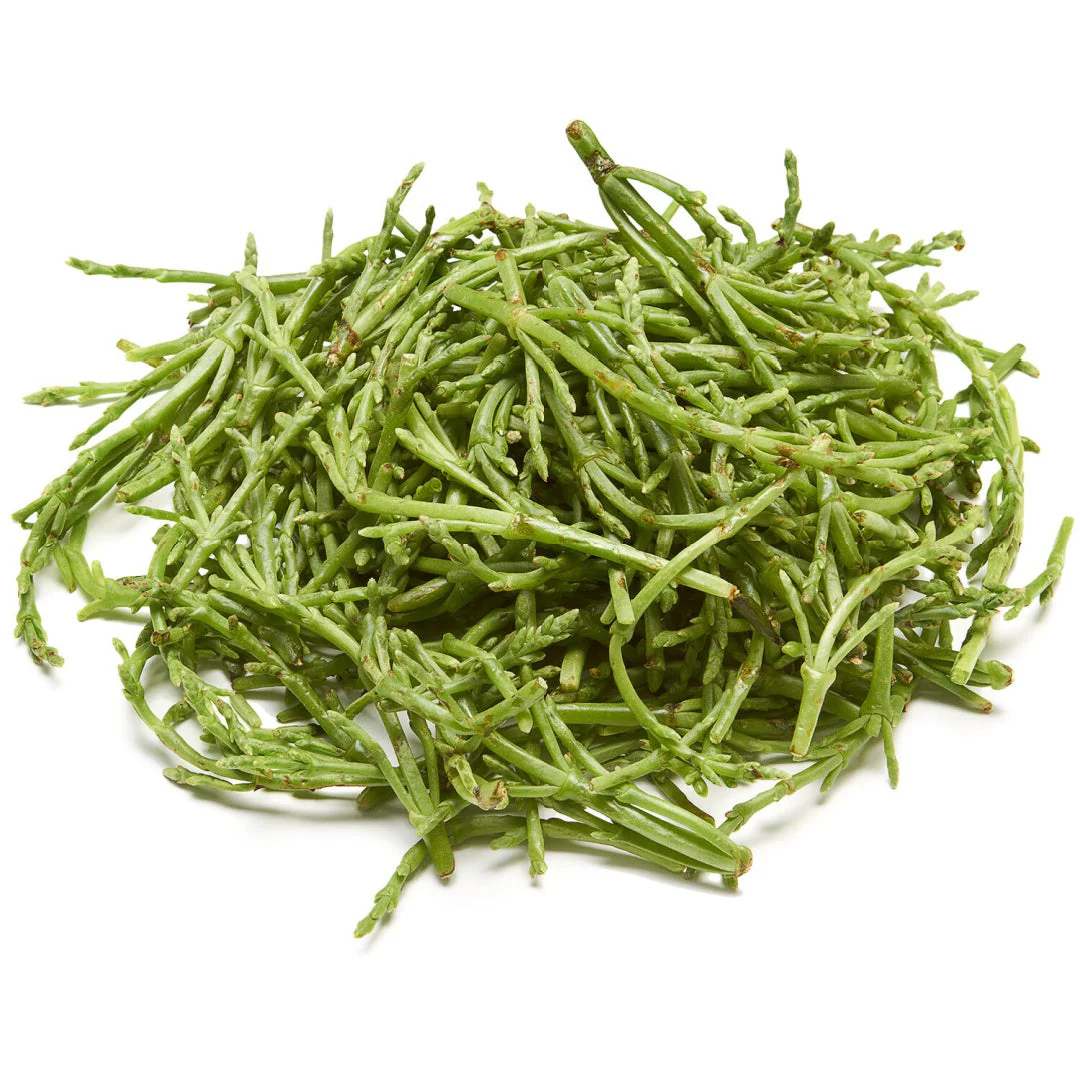 Sea Beans | Sep-Nov Season Wholesale