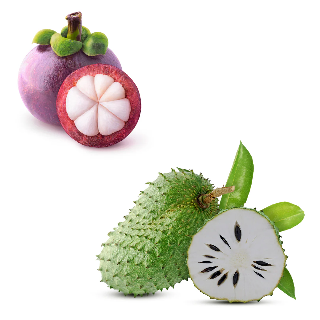 Fresh Soursop from Sri Lanka & 250gr Mangosteen