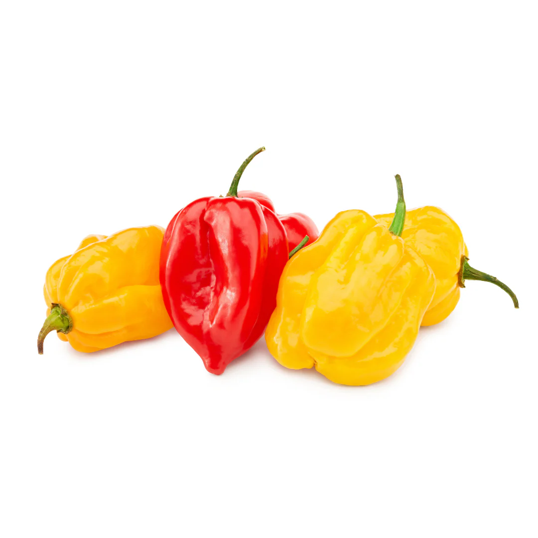 Hot Pep Spain 4kg