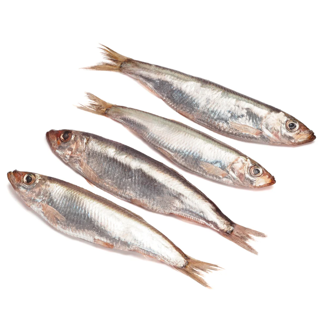Sprat 3kg