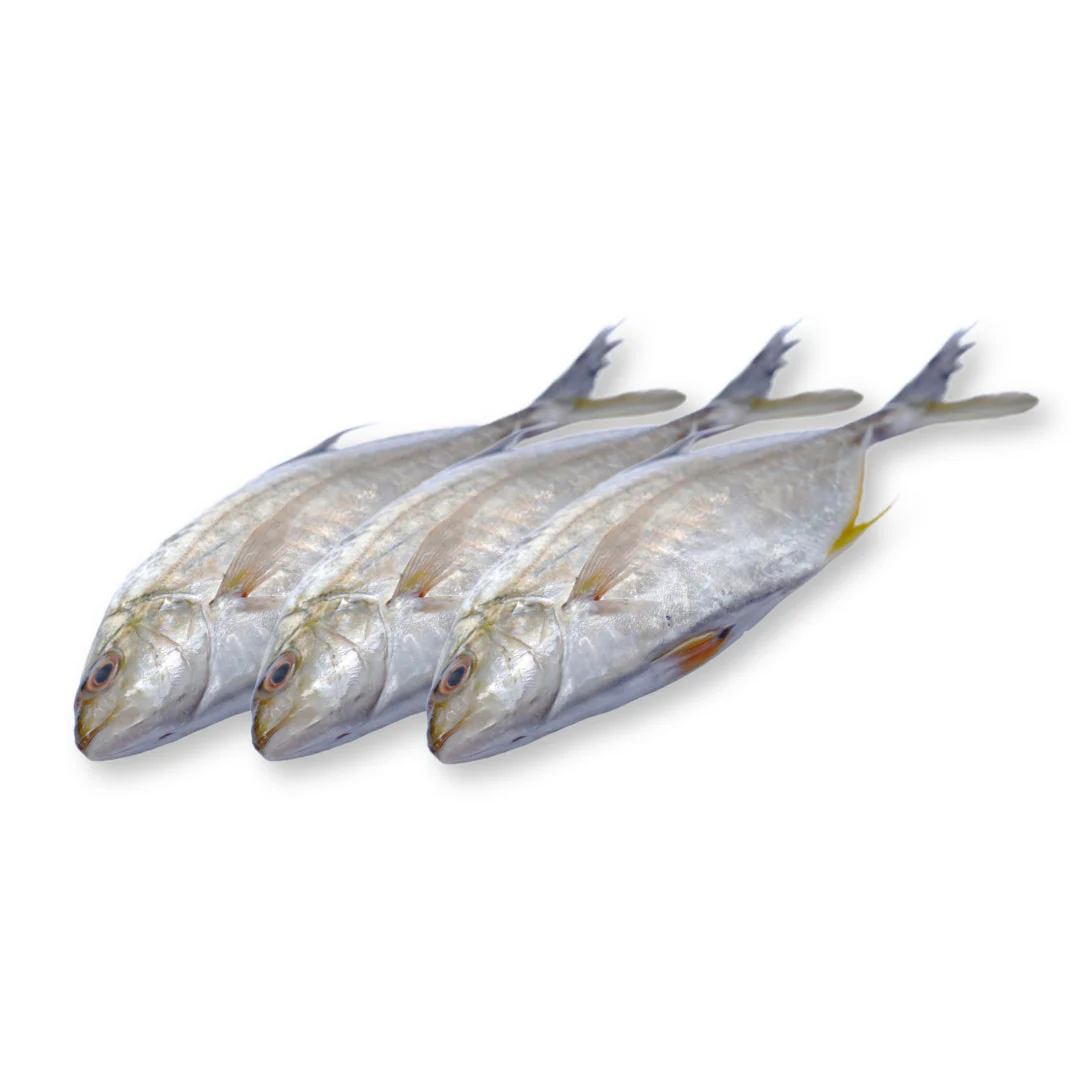 Trevally Wholesale