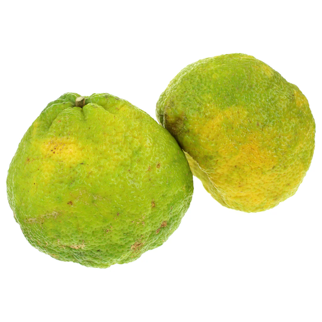 Ugli Fruit 2kg | Jamaican Tangelo | Fresh Import from Jamaica