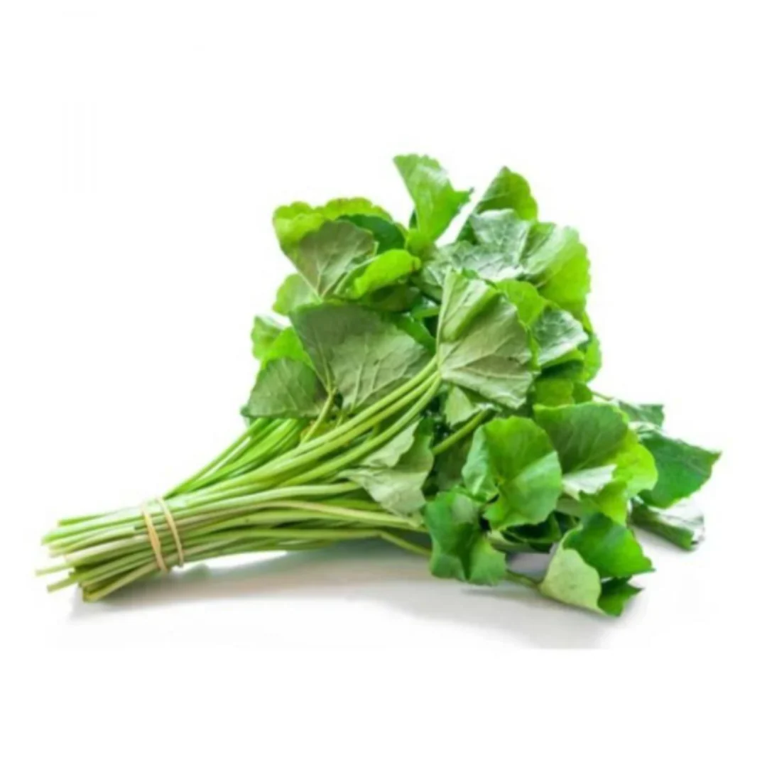 Valara / Brahmi Leaves 250gr