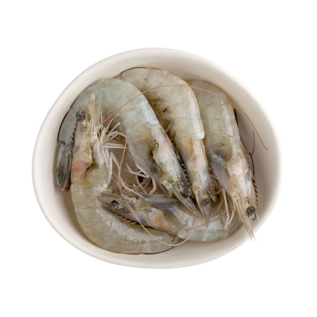 Raw Frozen Vannamei King Prawns Block 21-25 (800g x 6 Packs)
