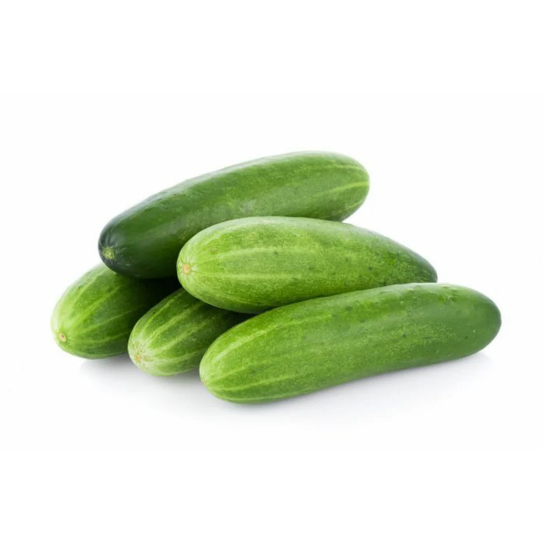 Cucumber Velary (INDIA) 5kg