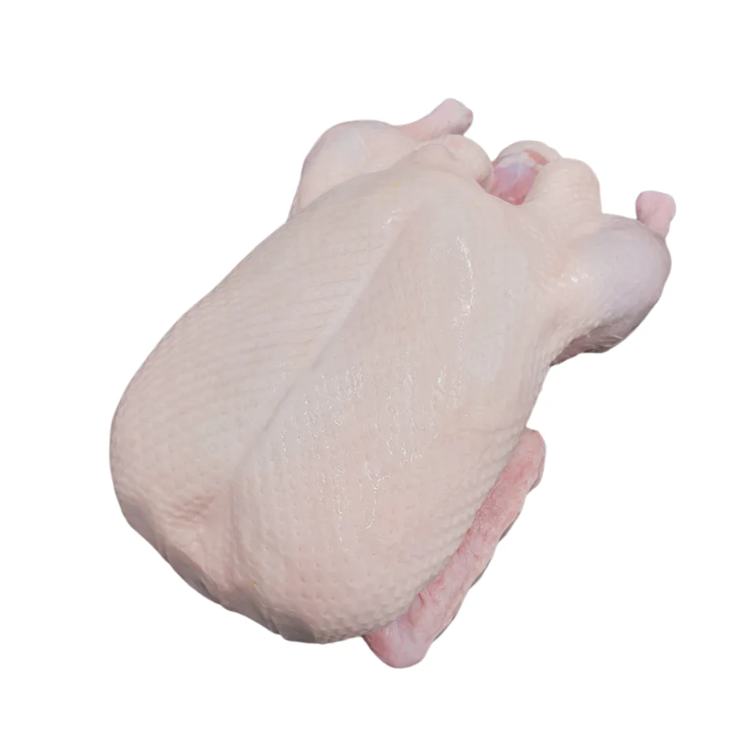 Frozen Whole British Duck | 2~2.5 kg