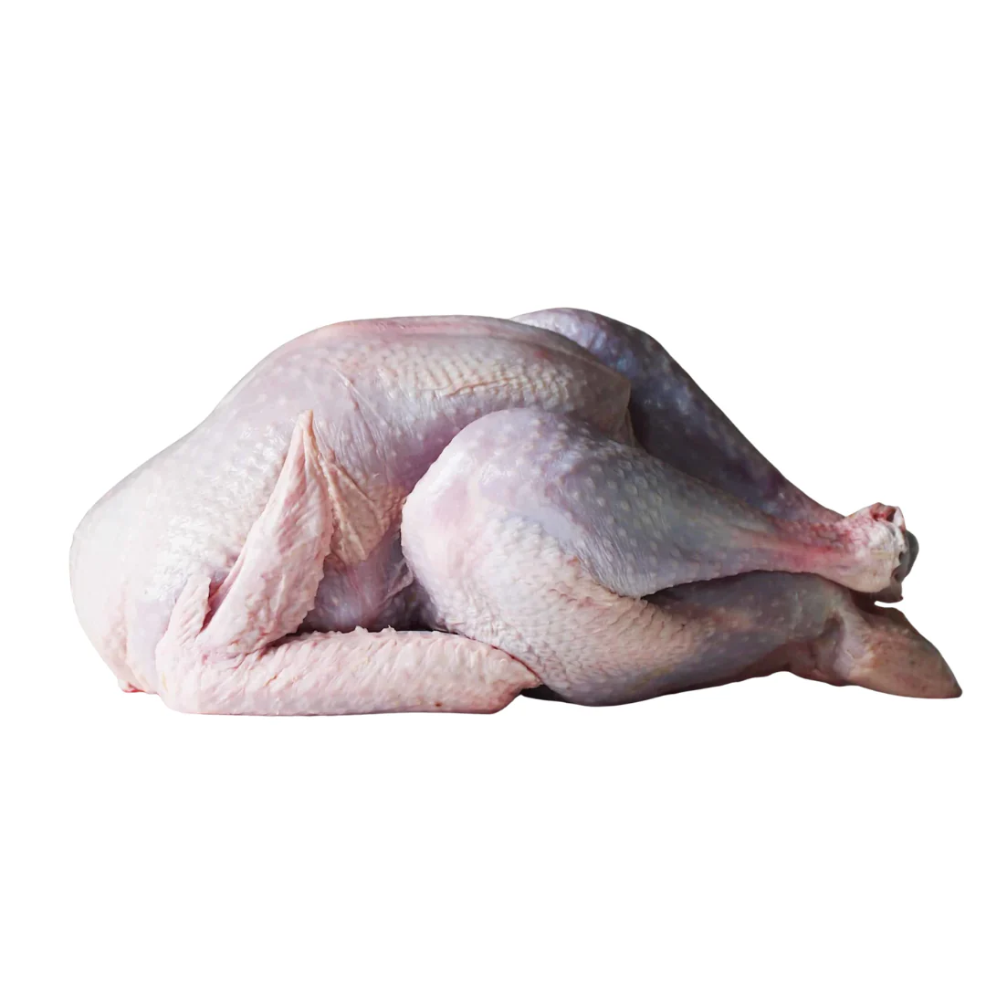Frozen Halal Whole Turkey | 2.5~3.5 kg