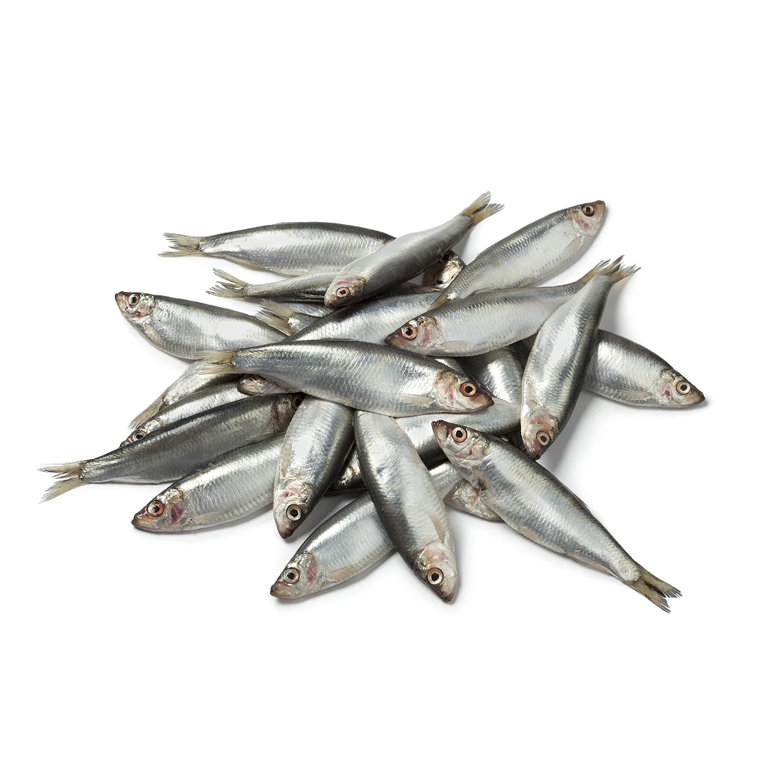 Frozen Whole Whitebait 454g x 20 Packs