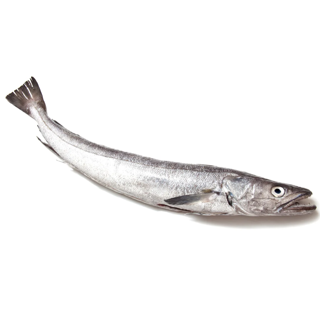 Frozen Whole Silver Hake Fish | 1 Unit ~1kg