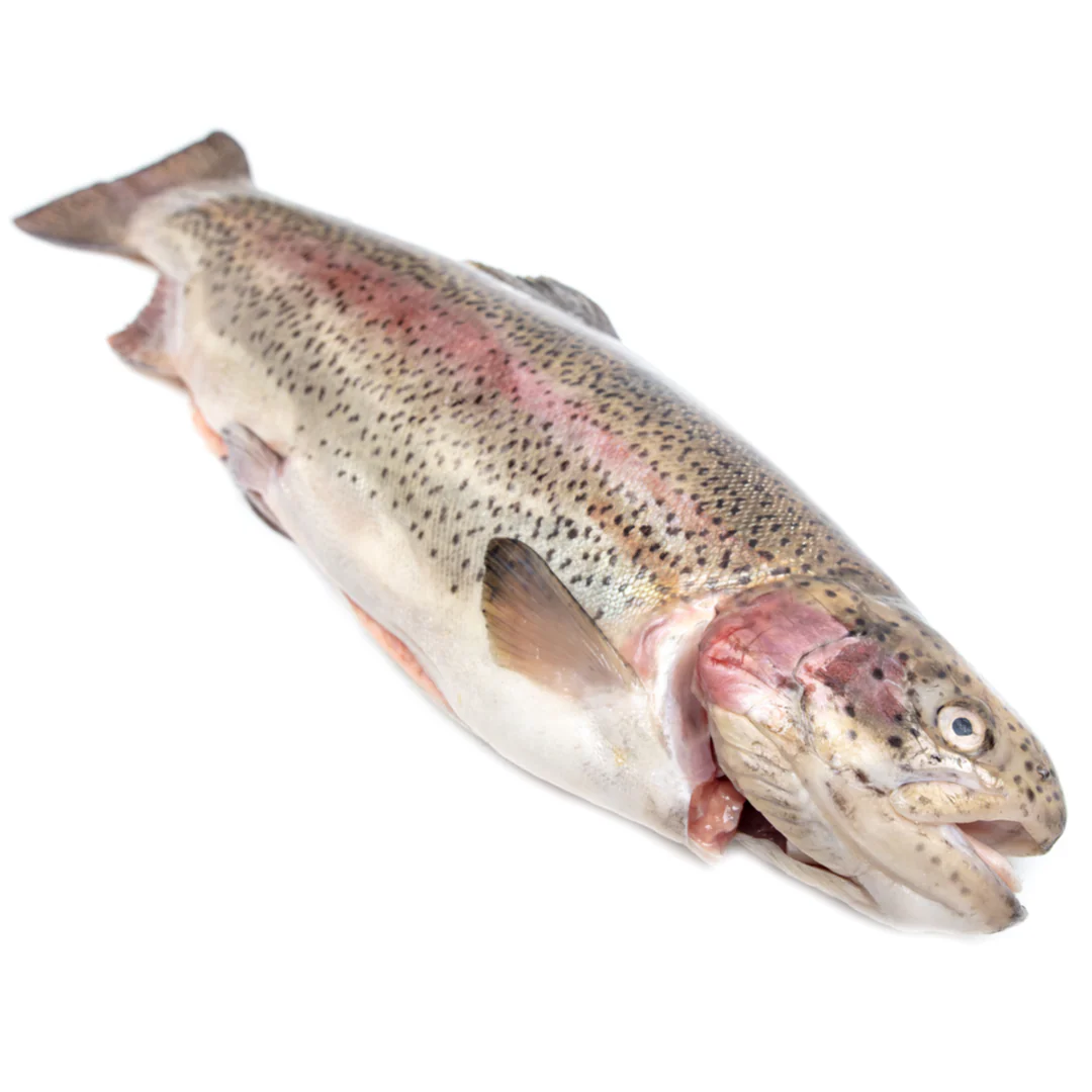 Whole Trout 2 units ~1-1.5kg
