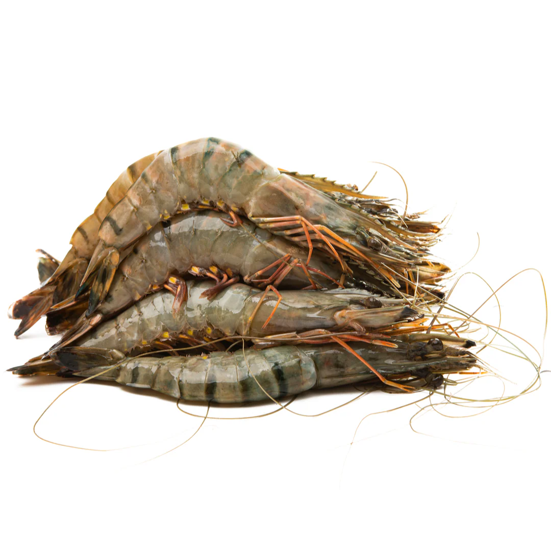 Fresh Wild Tiger Prawns | 1kg