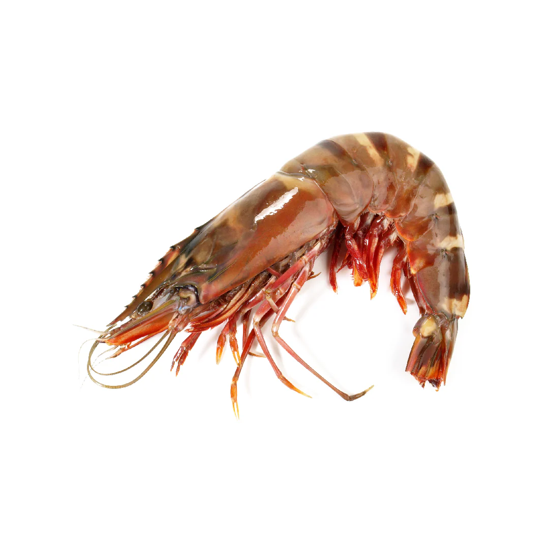 Wild Tiger Prawn XL (1kg)