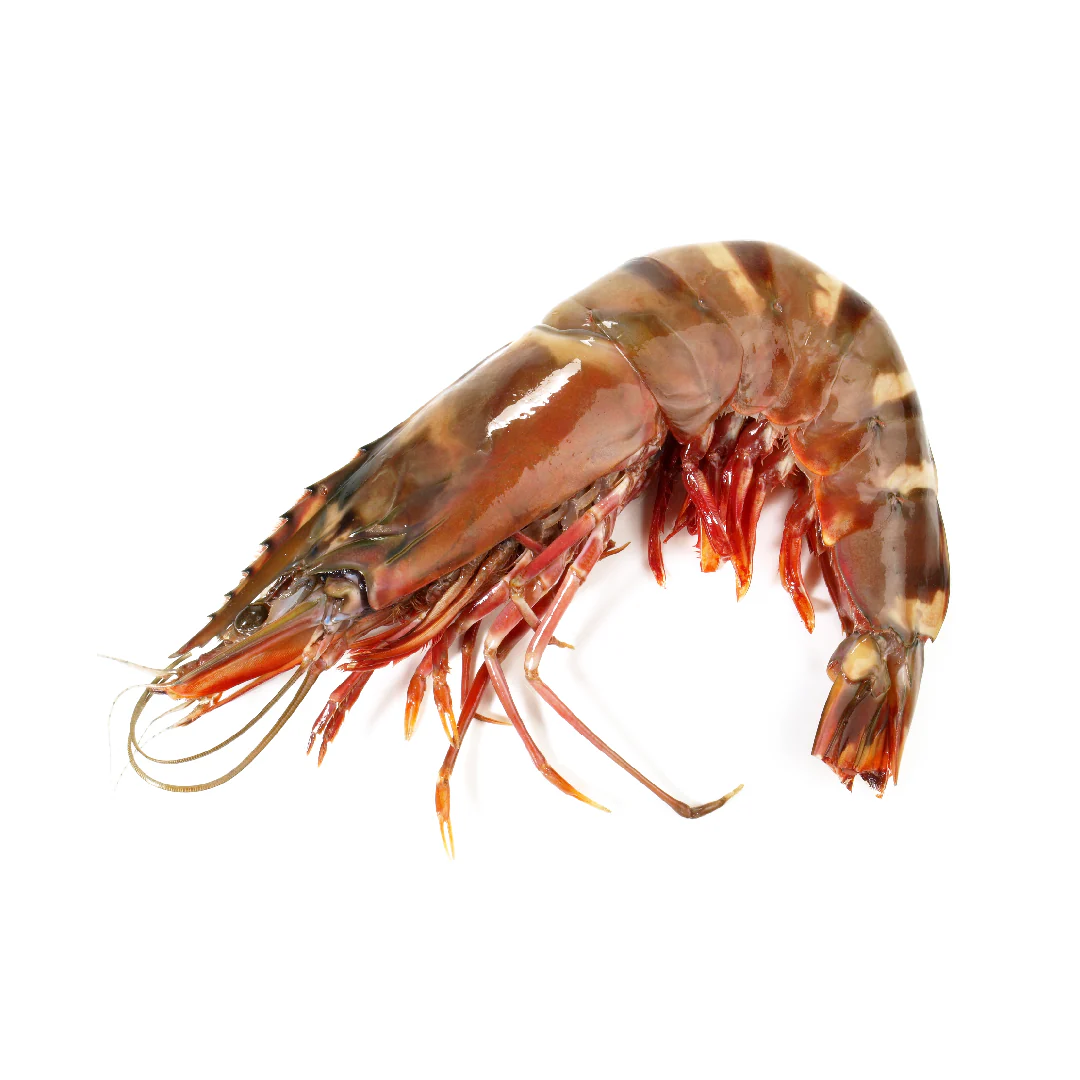 Wild Tiger Prawn XL (1kg) - Image 2