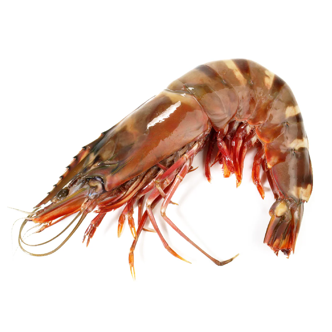 Wild Tiger Prawn XL (1kg) - Image 3
