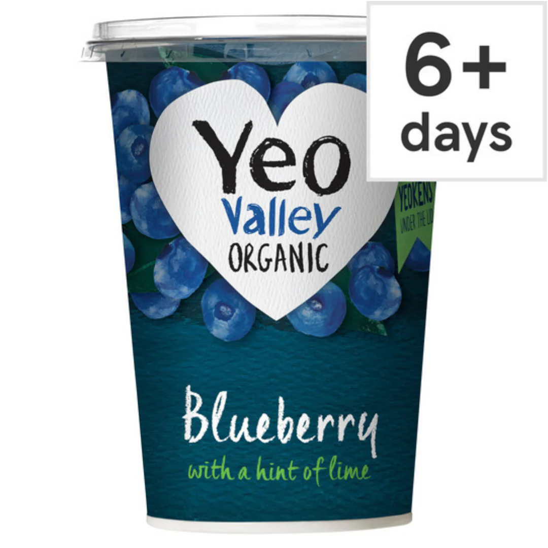 Yeo Valley Blueberry Yogurt 450G